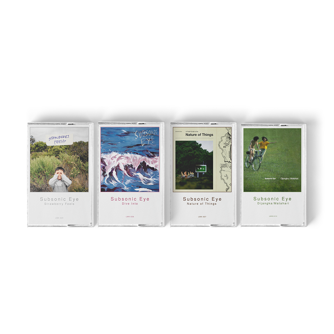 Subsonic Eye Discography Bundle